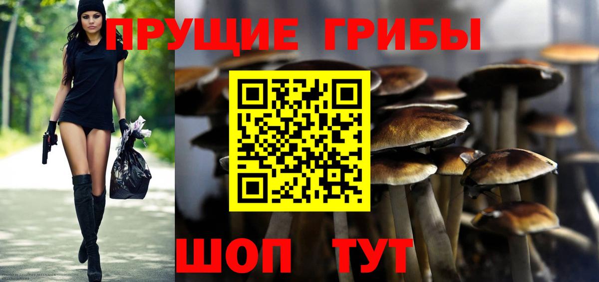 Псилоцибиновые грибы MAGIC MUSHROOMS  Вход с VPN  Энгельс 