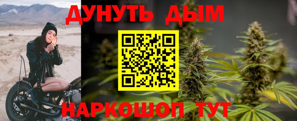 Конопля Bruce Banner Энгельс